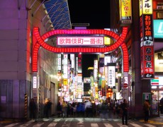 Il distretto più controverso di Tokyo. Un estratto da Kabukicho di Dominique Sylvain